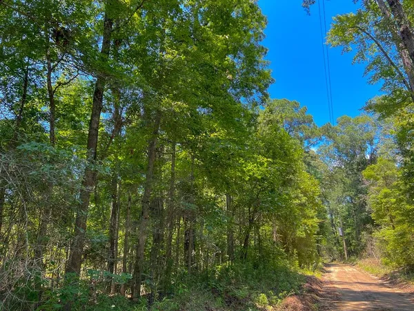 $700,000 | 3 New Haven Road, Hemphill, TX 75948