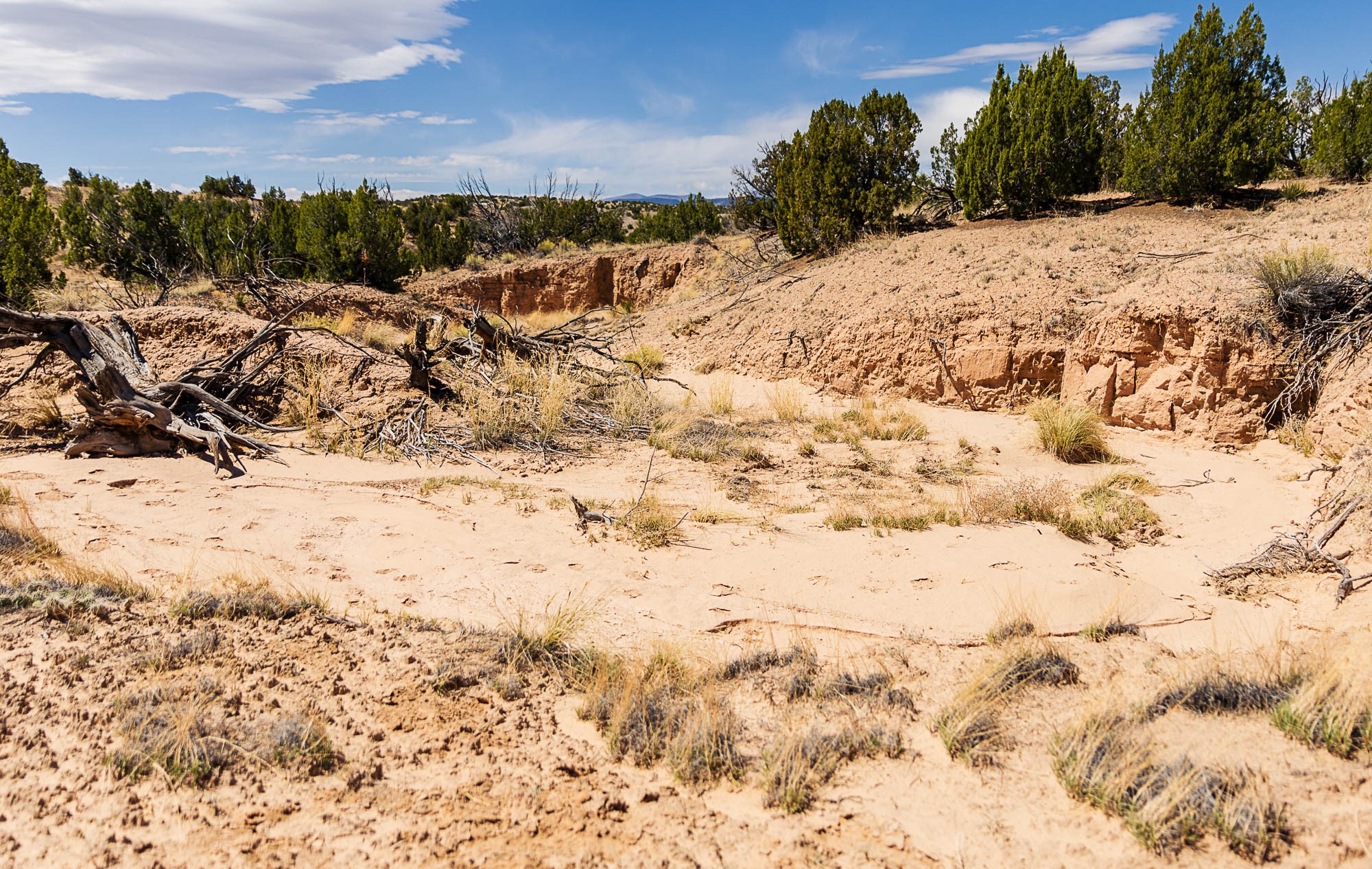 0 El Rito Estates Abiquiu, NM 87510 - Photo 44 of 56
