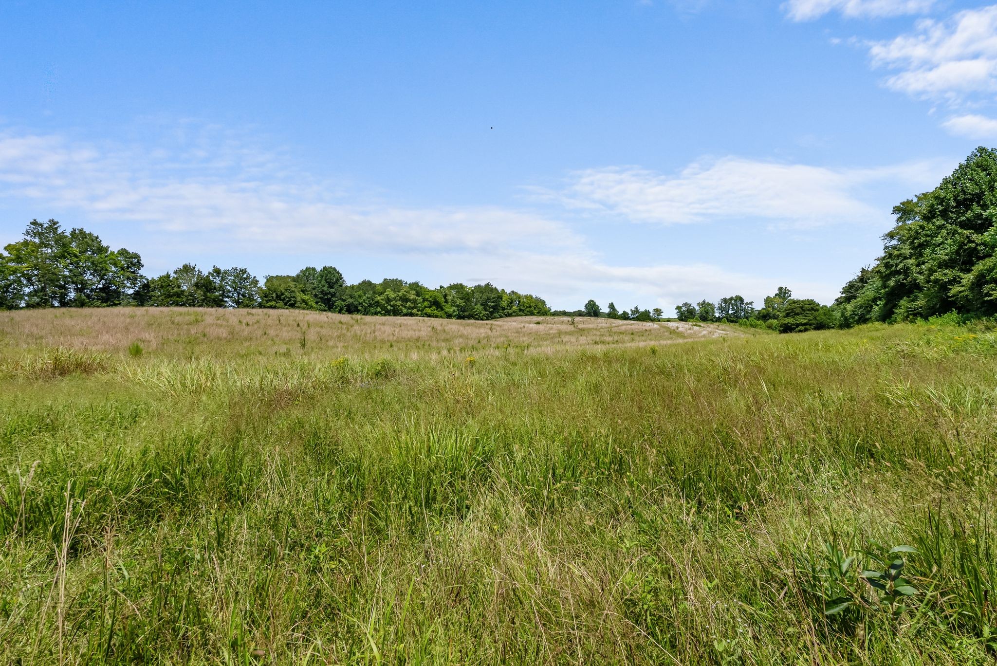 0 Sparkman Town-Bone Cave Road Doyle, TN 38559 - Photo 36 of 77 Gallery Image 36