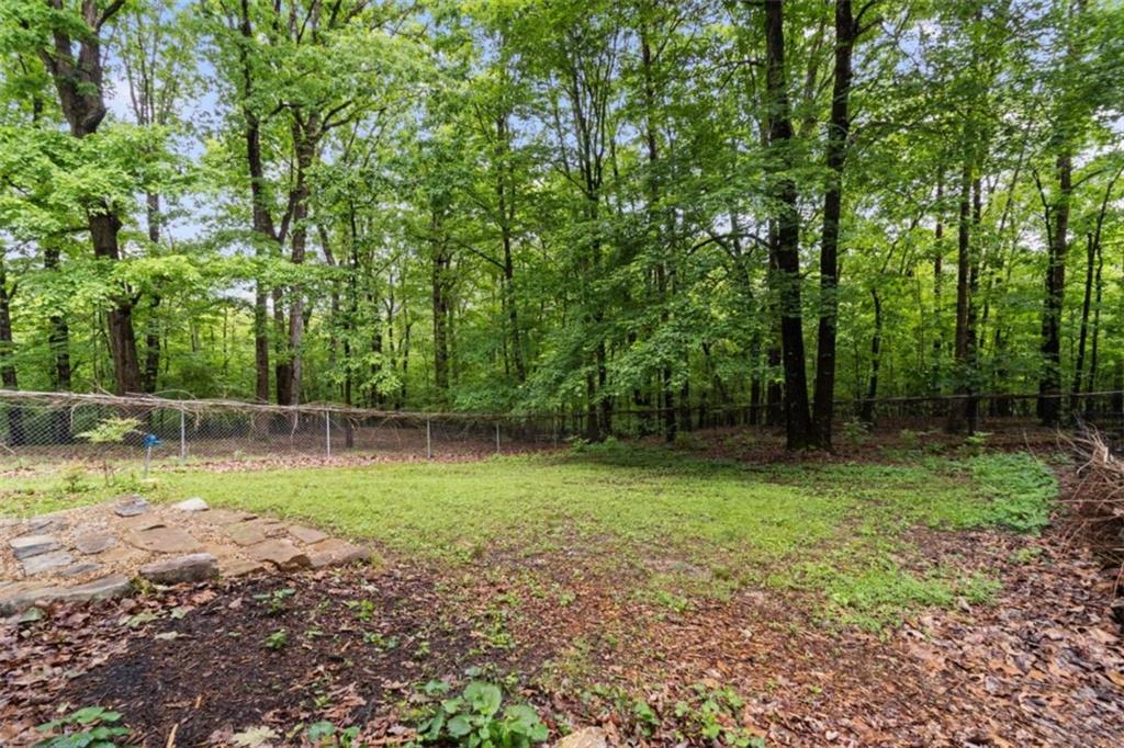 219 Raven Cliff Road Talking Rock, GA 30175 - Photo 49 of 77 a view of backyard with green space