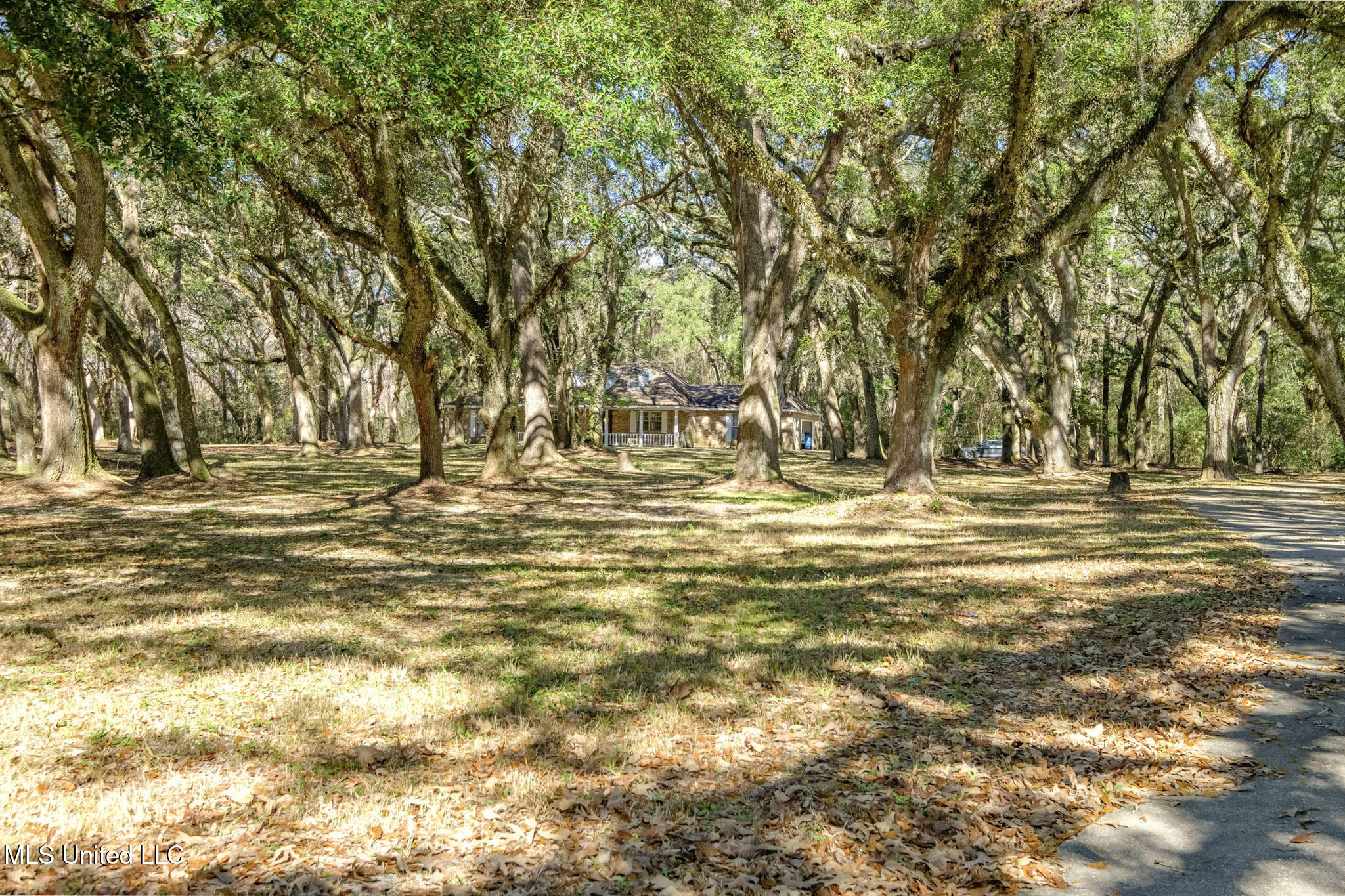 6601 Nutbank Road Moss Point, MS 39562 - Photo 34 of 55 11-6601 Nutbank Rd-11