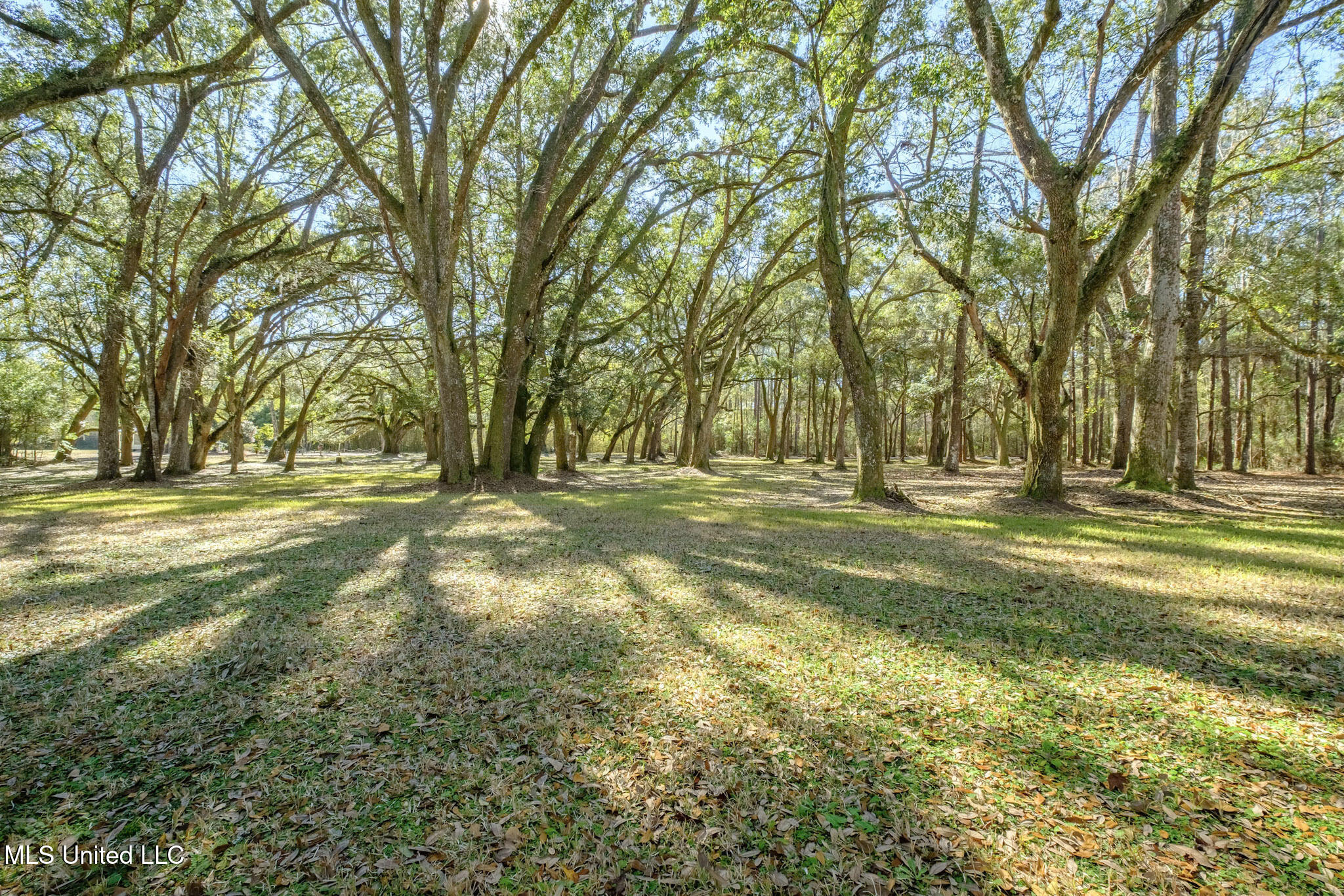6601 Nutbank Road Moss Point, MS 39562 - Photo 54 of 55 4-6601 Nutbank Rd-4