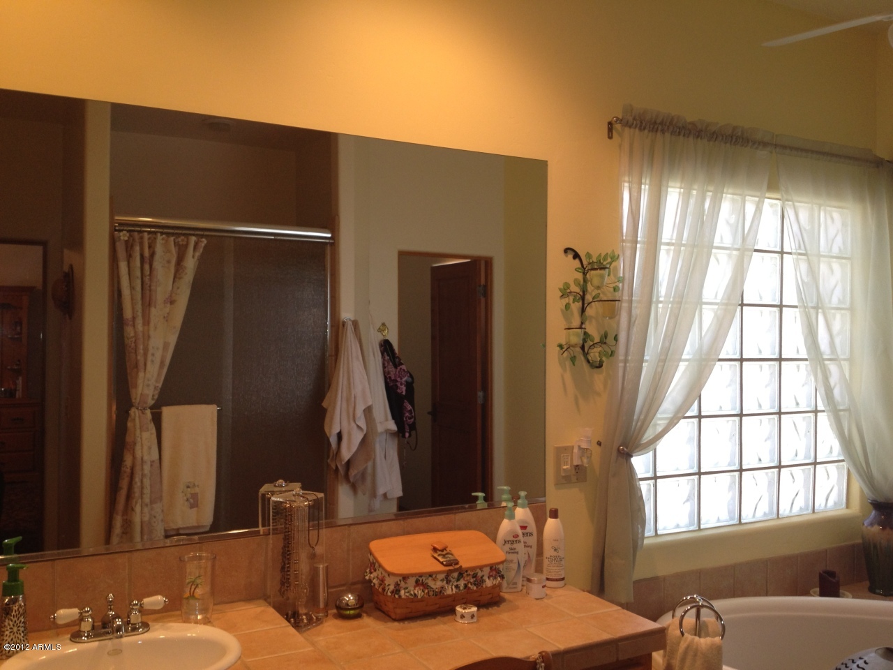1622 East Dolores Road Phoenix, AZ 85086 - Photo 23 of 31 Master Bathroom