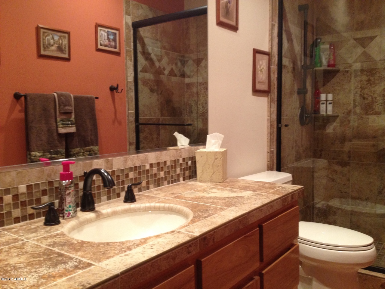 1622 East Dolores Road Phoenix, AZ 85086 - Photo 6 of 31 Bathroom 2
