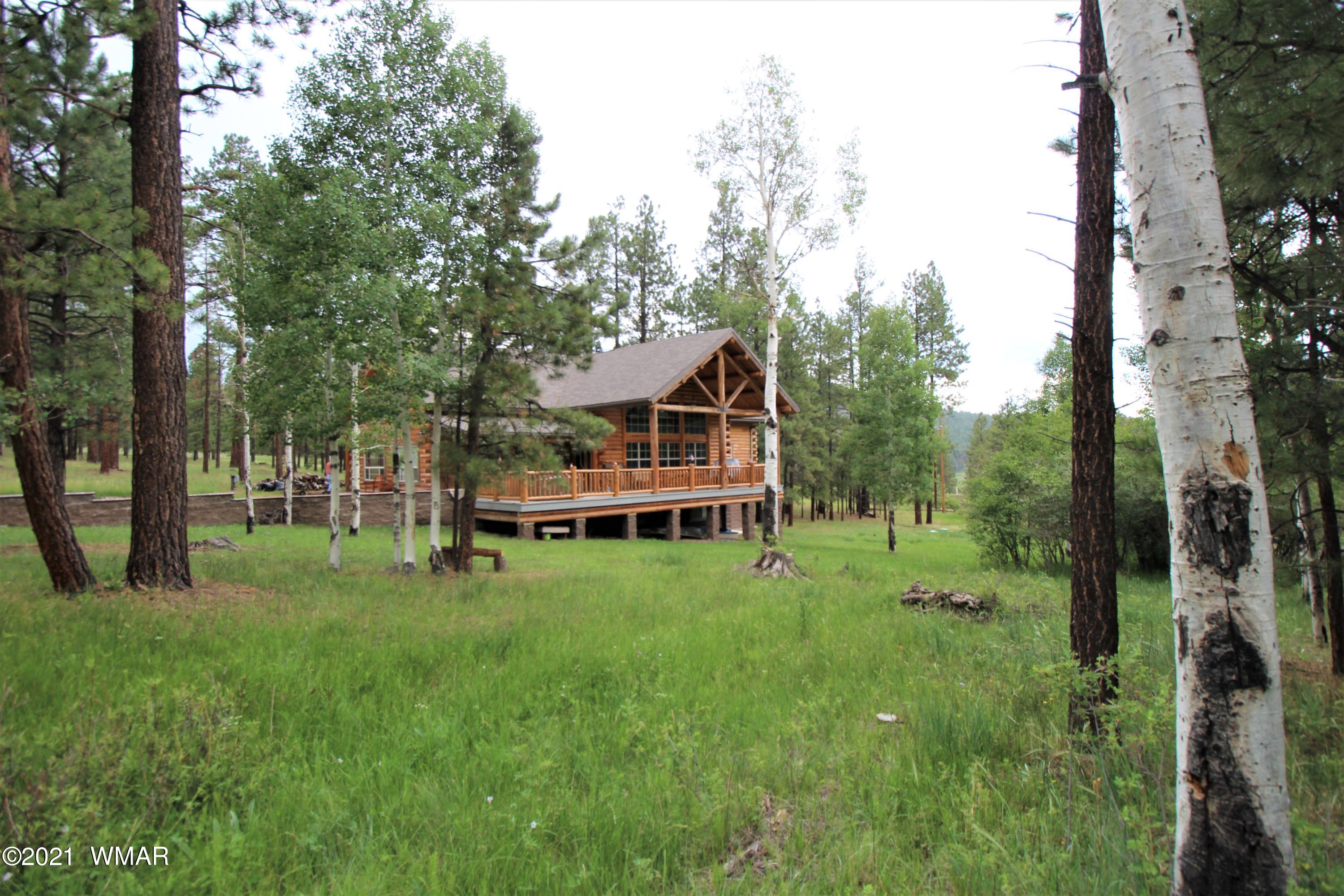 13 N1063 Greer, AZ 85927 - Photo 12 of 53