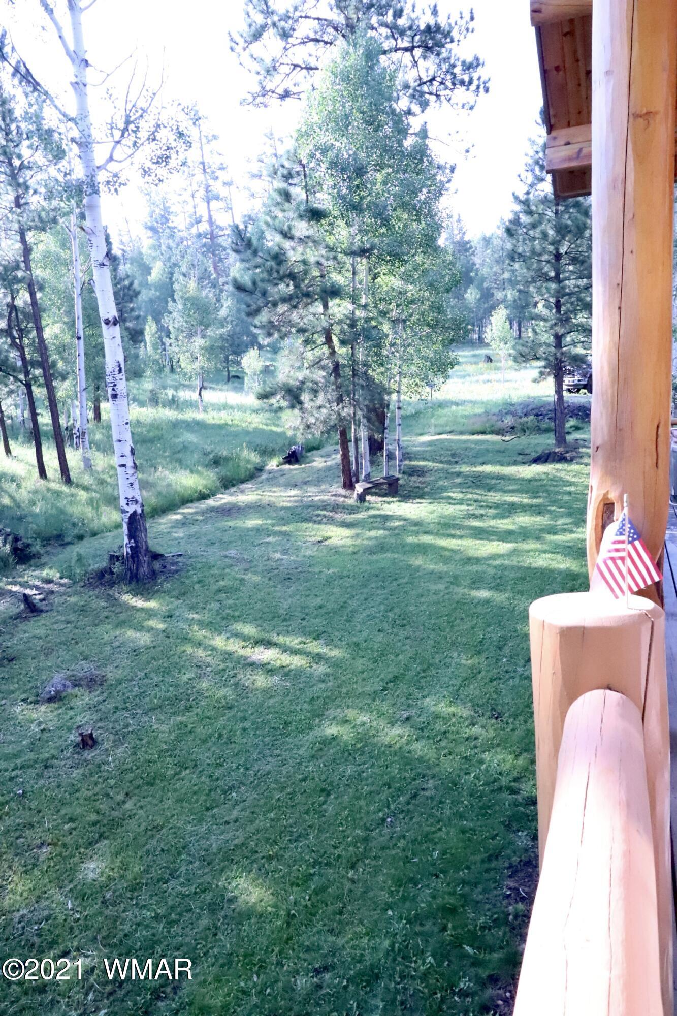 13 N1063 Greer, AZ 85927 - Photo 52 of 53