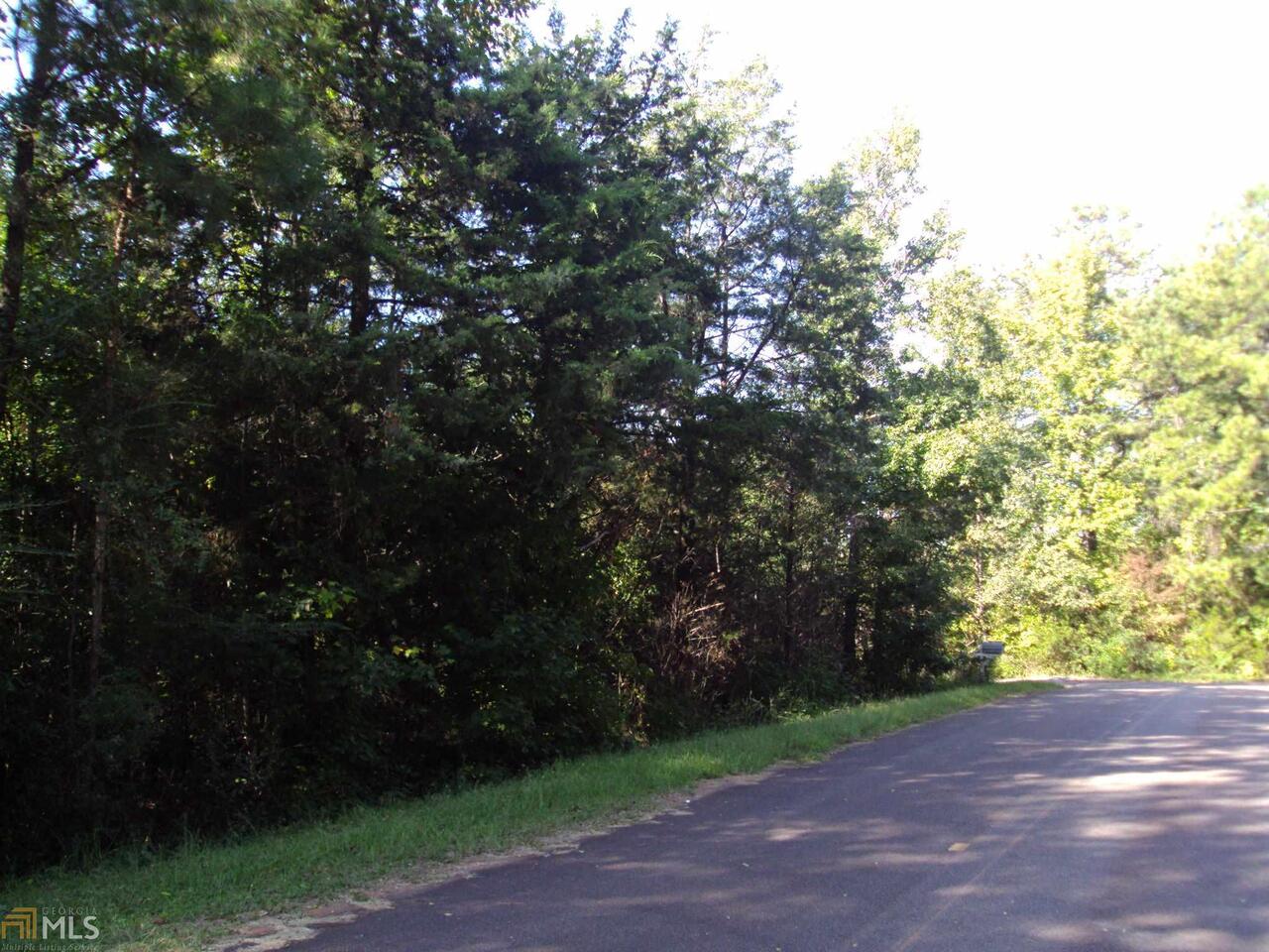 0 Williams Road Thomaston, GA 30286 - Photo 1 of 1