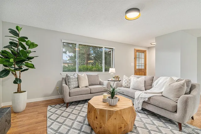 a living room with furniture potted plant and a window