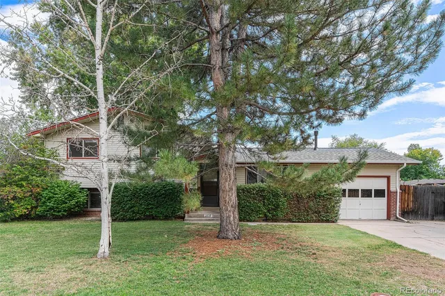 a view of a house with backyard and a tree