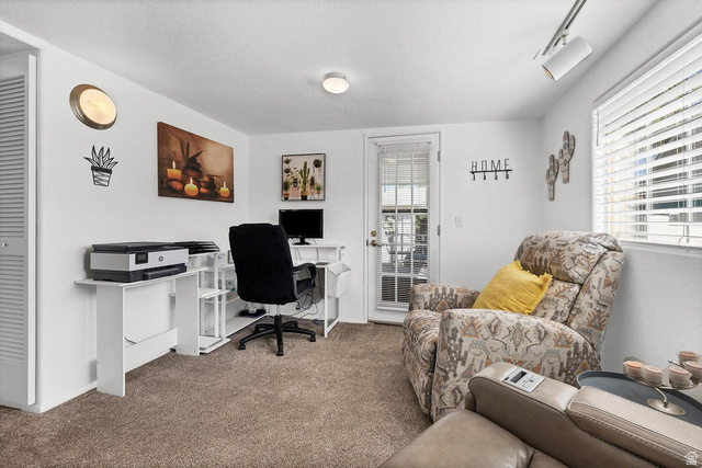 2990 East Riverside Drive, Unit 173 St. George, UT 84790 - Photo 18 of 38 Carpeted interior room featuring a white ceiling, white walls, and track lighting