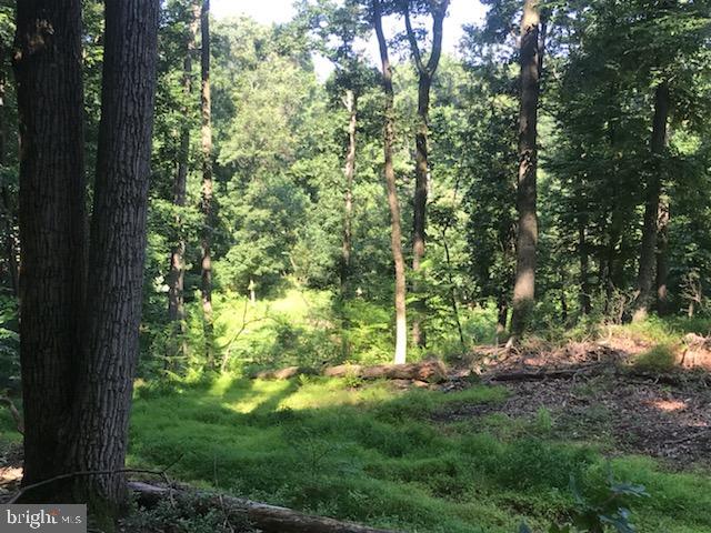 Lot 8 Nye Road Hummelstown, PA 17036 - Photo 3 of 5 Gallery Image 3