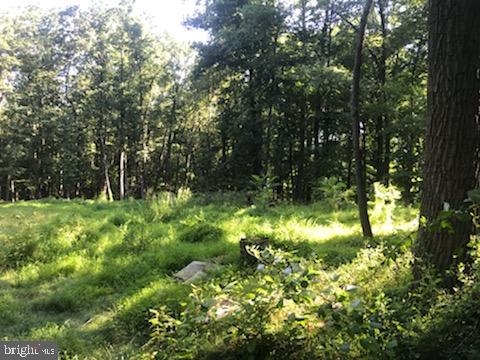 Lot 8 Nye Road Hummelstown, PA 17036 - Photo 4 of 5 Gallery Image 4