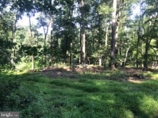Lot 8 Nye Road Hummelstown, PA 17036 - Photo 5 of 5 Gallery Image 5