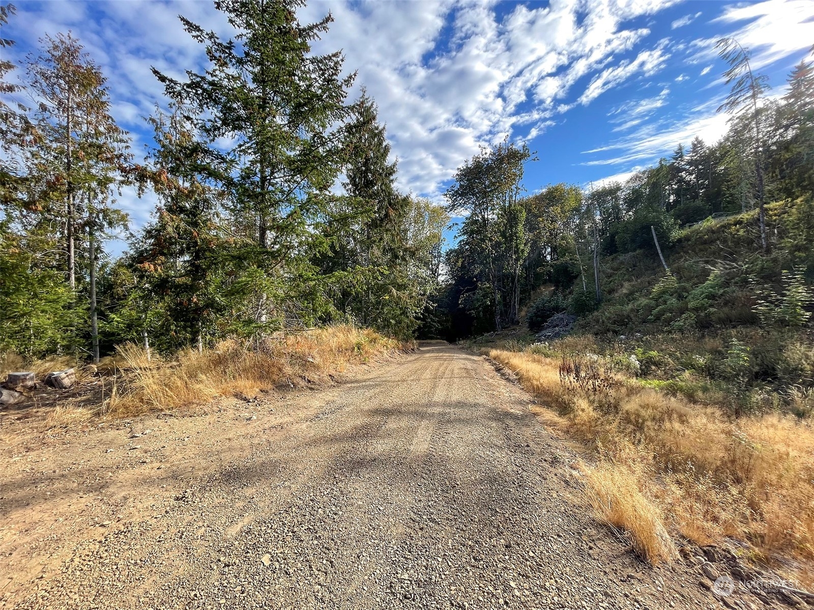 2899-2 Dan Kelly Road Port Angeles, WA 98363 - Photo 7 of 24 a view of a yard covered in snow