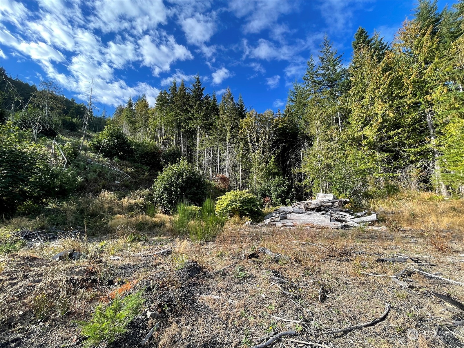 2899-2 Dan Kelly Road Port Angeles, WA 98363 - Photo 9 of 24 a backyard of a house with lots of green space
