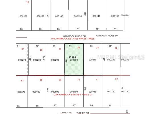 4706 Hammock Ridge Road Mulberry, FL 33860 - Photo 1 of 1 Exterior Front