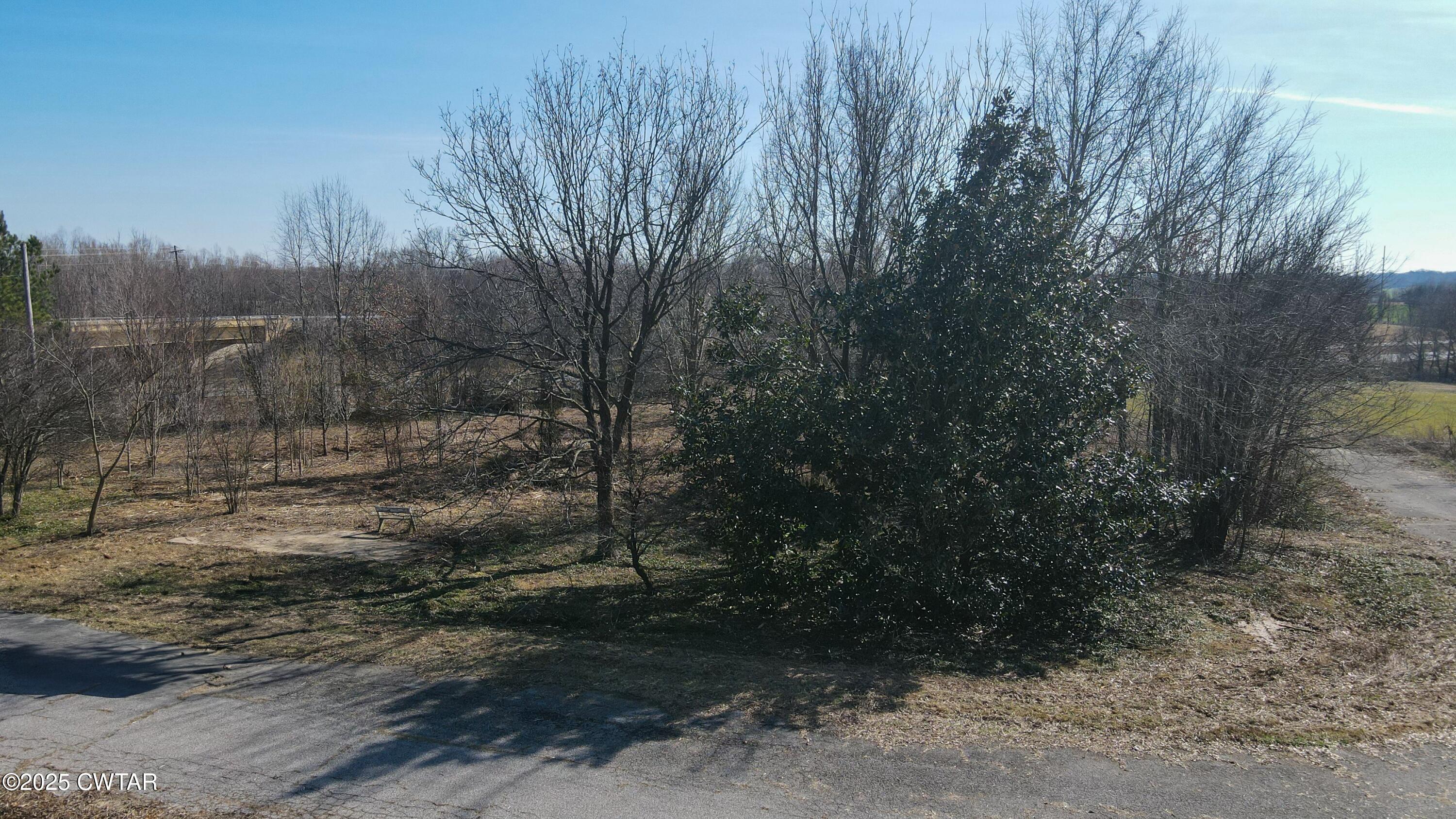 1585 Sharps Ferry Road Newbern, TN 38059 - Photo 5 of 7 tempImage6b0gQi