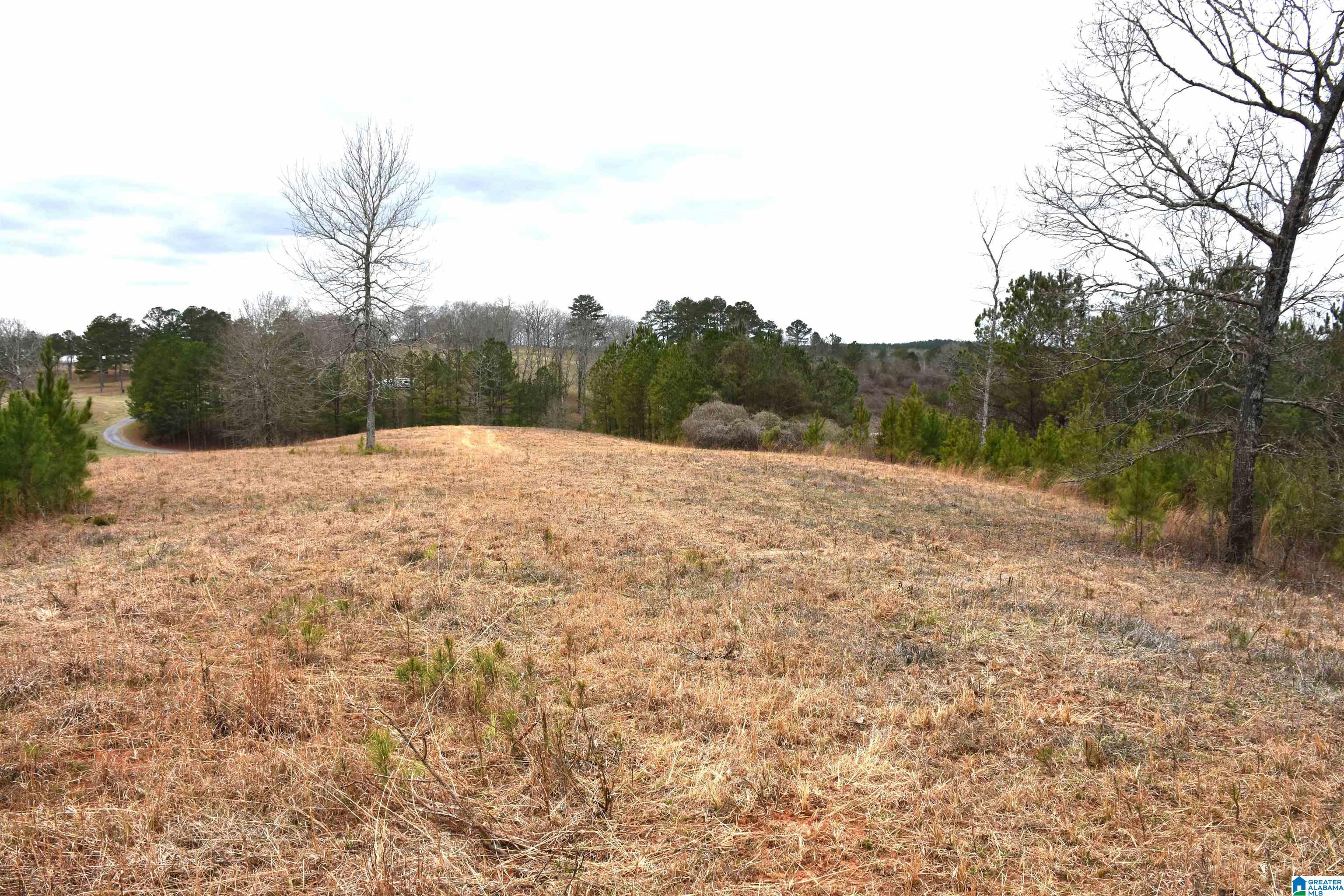 0 Grist Mill Road Alpine, AL 35014 - Photo 8 of 10