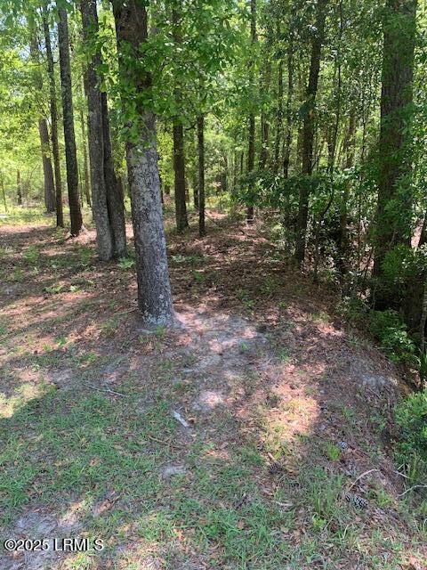 625 Elm Street West Hampton, SC 29924 - Photo 5 of 5 Back Property line