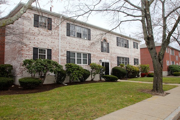 149 Lake Shore Road, Unit 3 Boston, MA 02135 - Photo 11 of 15 Gallery Image 11