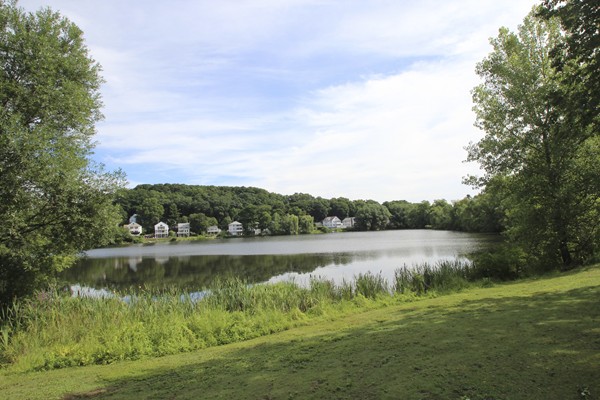 149 Lake Shore Road, Unit 3 Boston, MA 02135 - Photo 12 of 15 Gallery Image 12