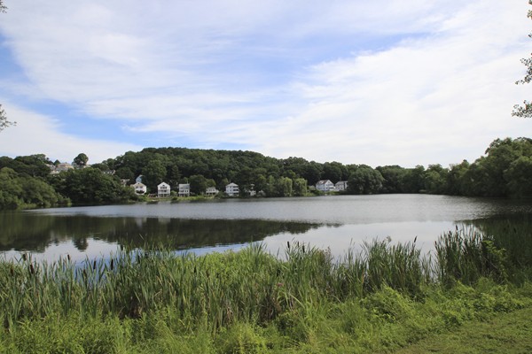 149 Lake Shore Road, Unit 3 Boston, MA 02135 - Photo 13 of 15 Gallery Image 13