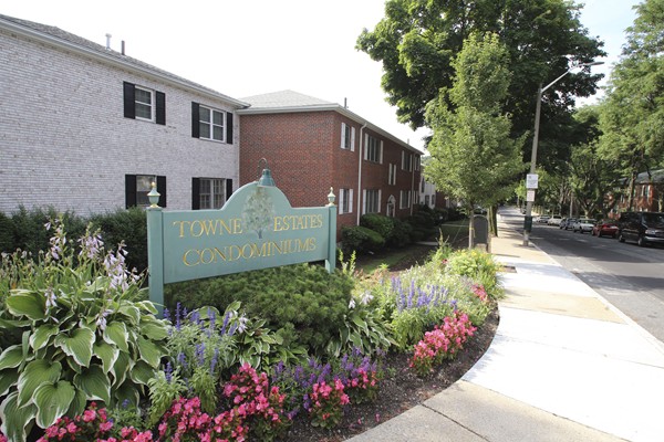 149 Lake Shore Road, Unit 3 Boston, MA 02135 - Photo 15 of 15 Gallery Image 15