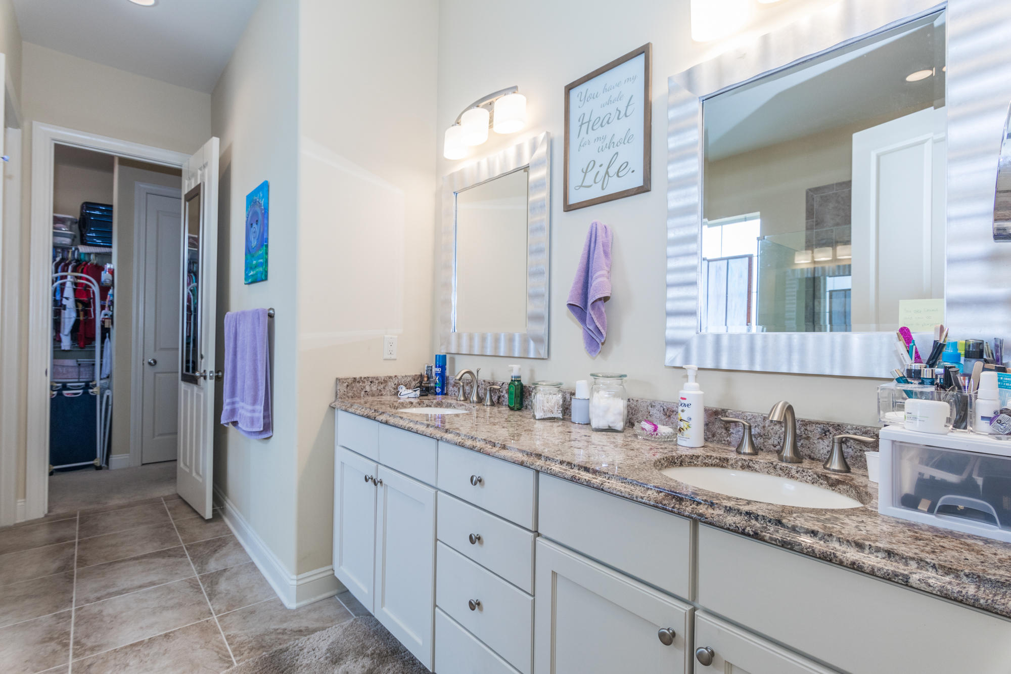 331 Brushed Dunes Circle Freeport, FL 32439 - Photo 43 of 60 a bathroom with a granite countertop sink and a mirror