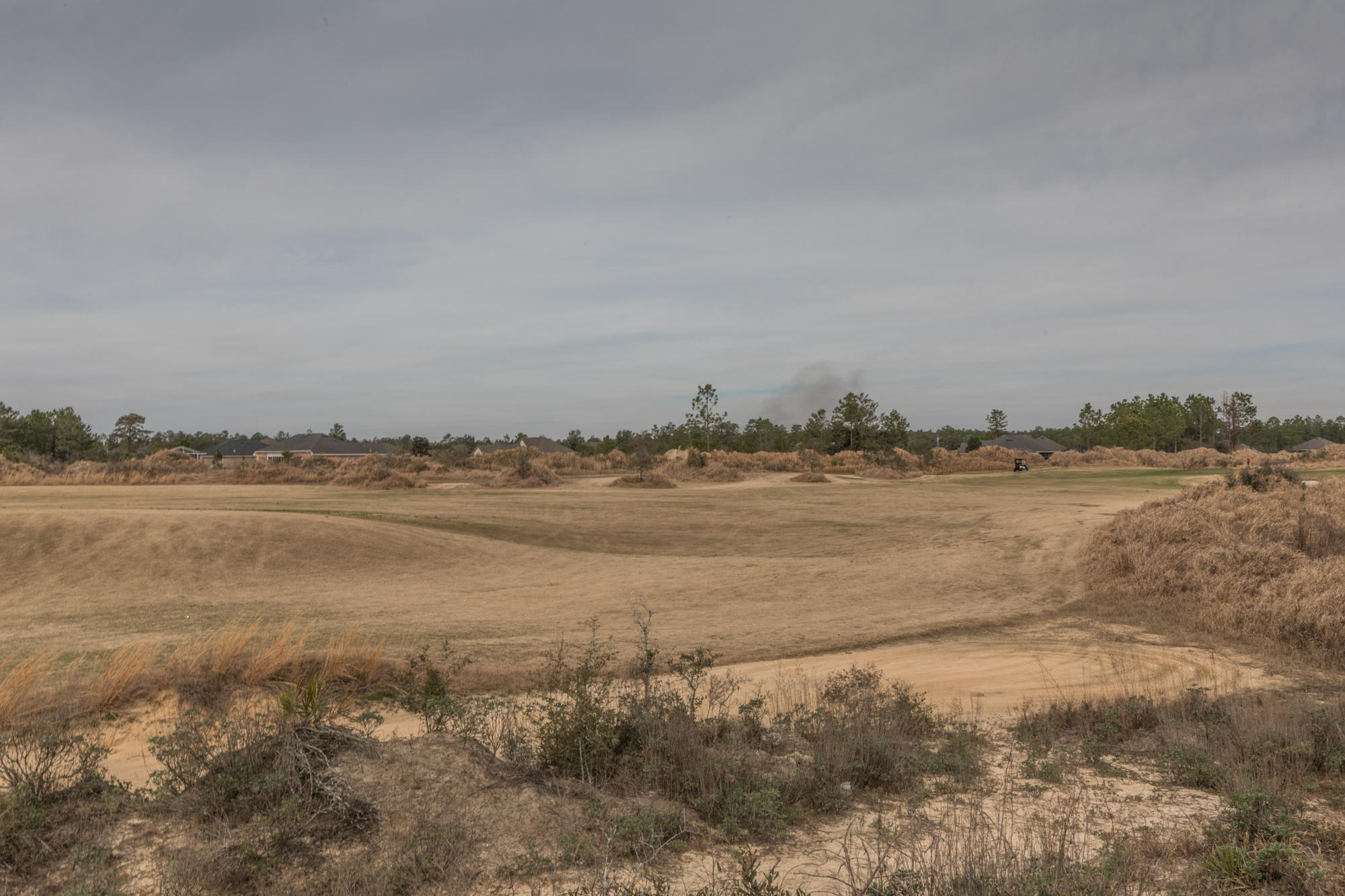 331 Brushed Dunes Circle Freeport, FL 32439 - Photo 58 of 60 BrushedDuneCircle-3