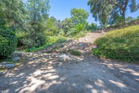 a view of a yard with plants and large trees