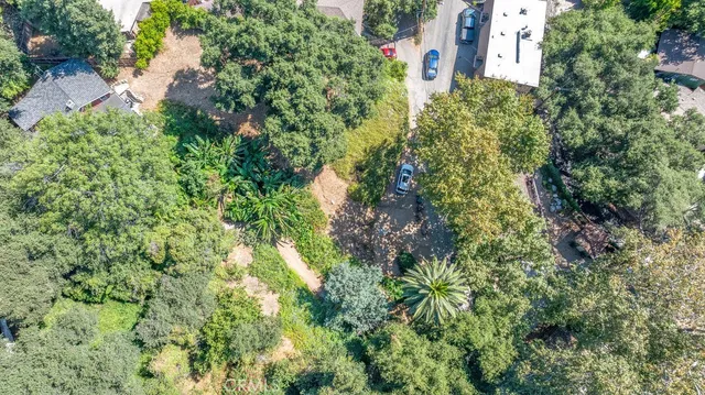 a view of a garden with plants