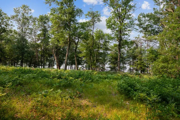 $64,500 | 300-xx Crystal Lake Drive, Danbury, WI 54830