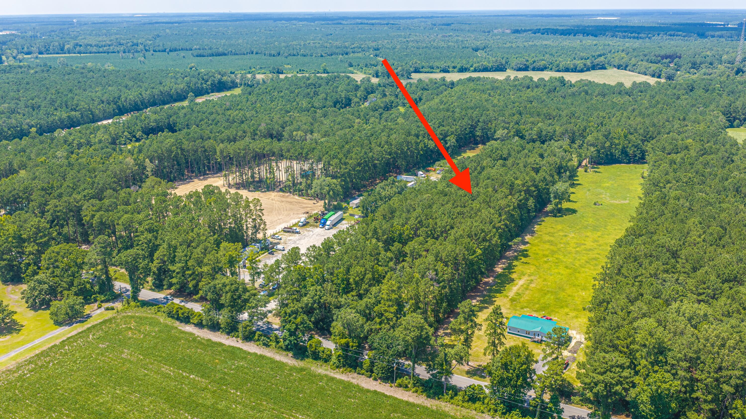 197 County Rd S-18-182, Unit LOT 2 Ridgeville, SC 29472 - Photo 1 of 30 197MyersMayoLot2_004
