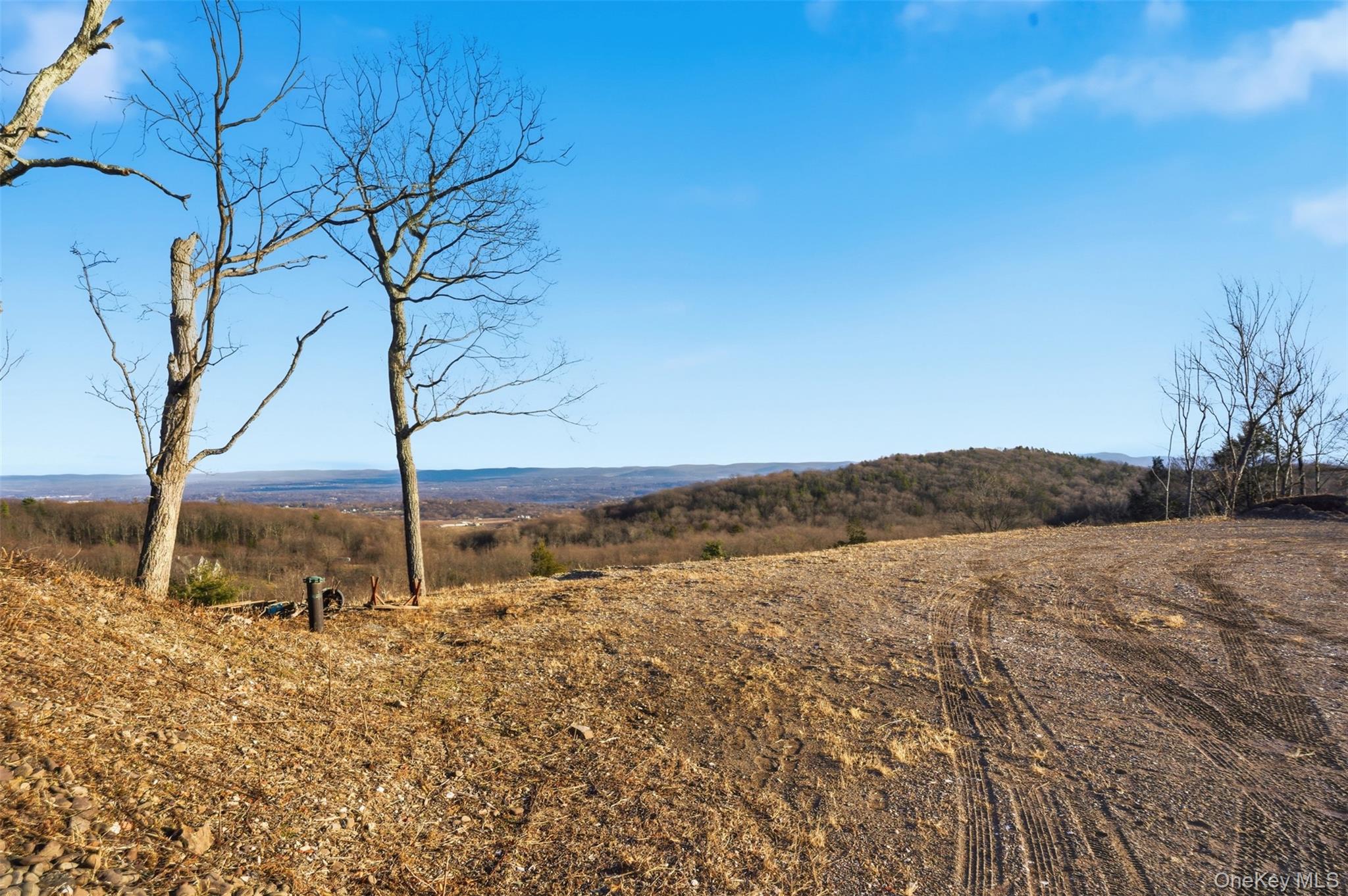 229 Mt Zion Road Marlboro, NY 12542 - Photo 15 of 18 a view of a yard with an trees