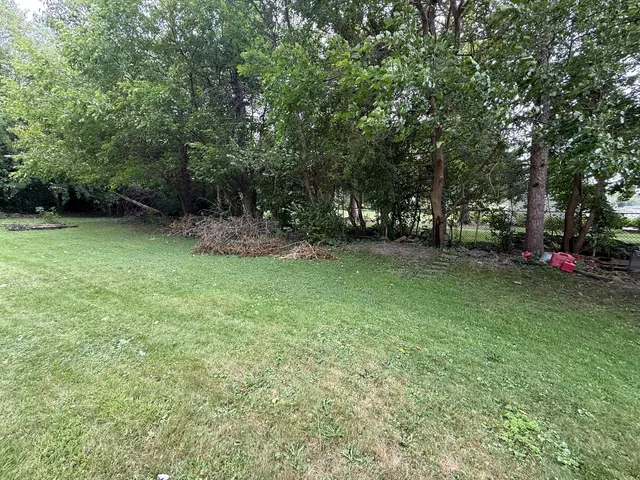 a view of a park with large trees