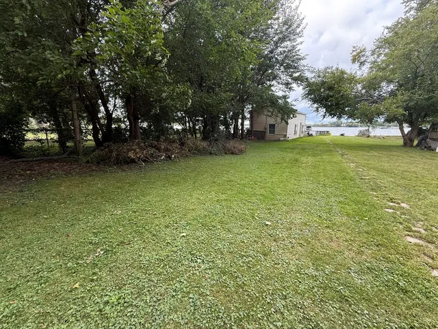 a view of a tree in front of a house with a yard