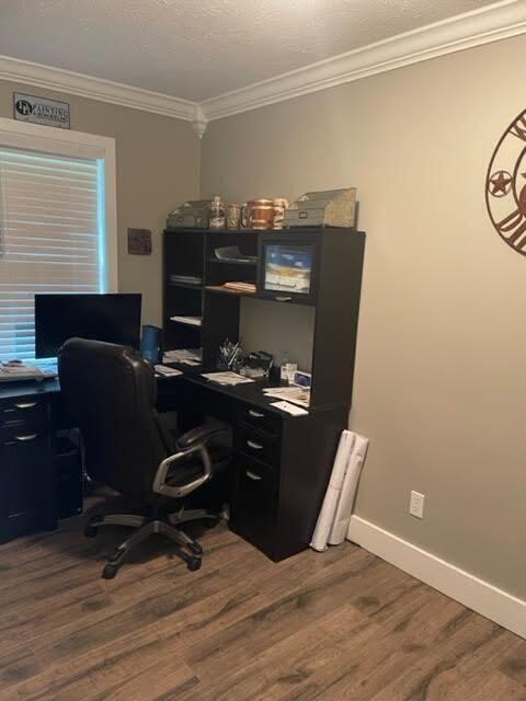 4907 Rush Branch Road Somerset, KY 42501 - Photo 37 of 46 20220608204214474556000000-o