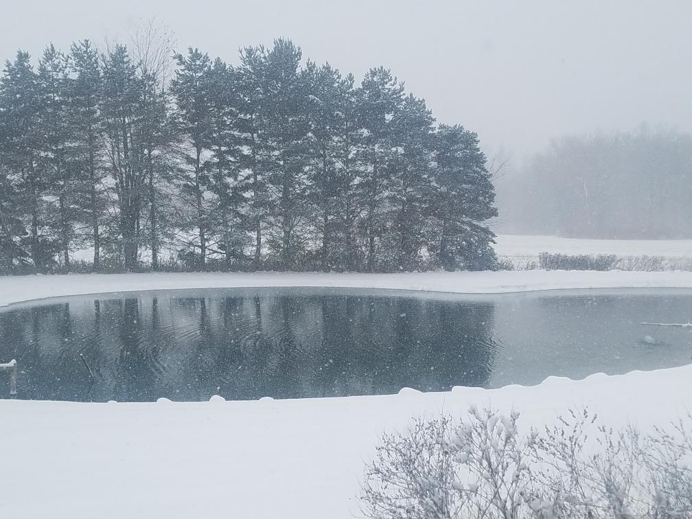 18450 Pratt Road Armada, MI 48005 - Photo 50 of 50 Winter Wonderland