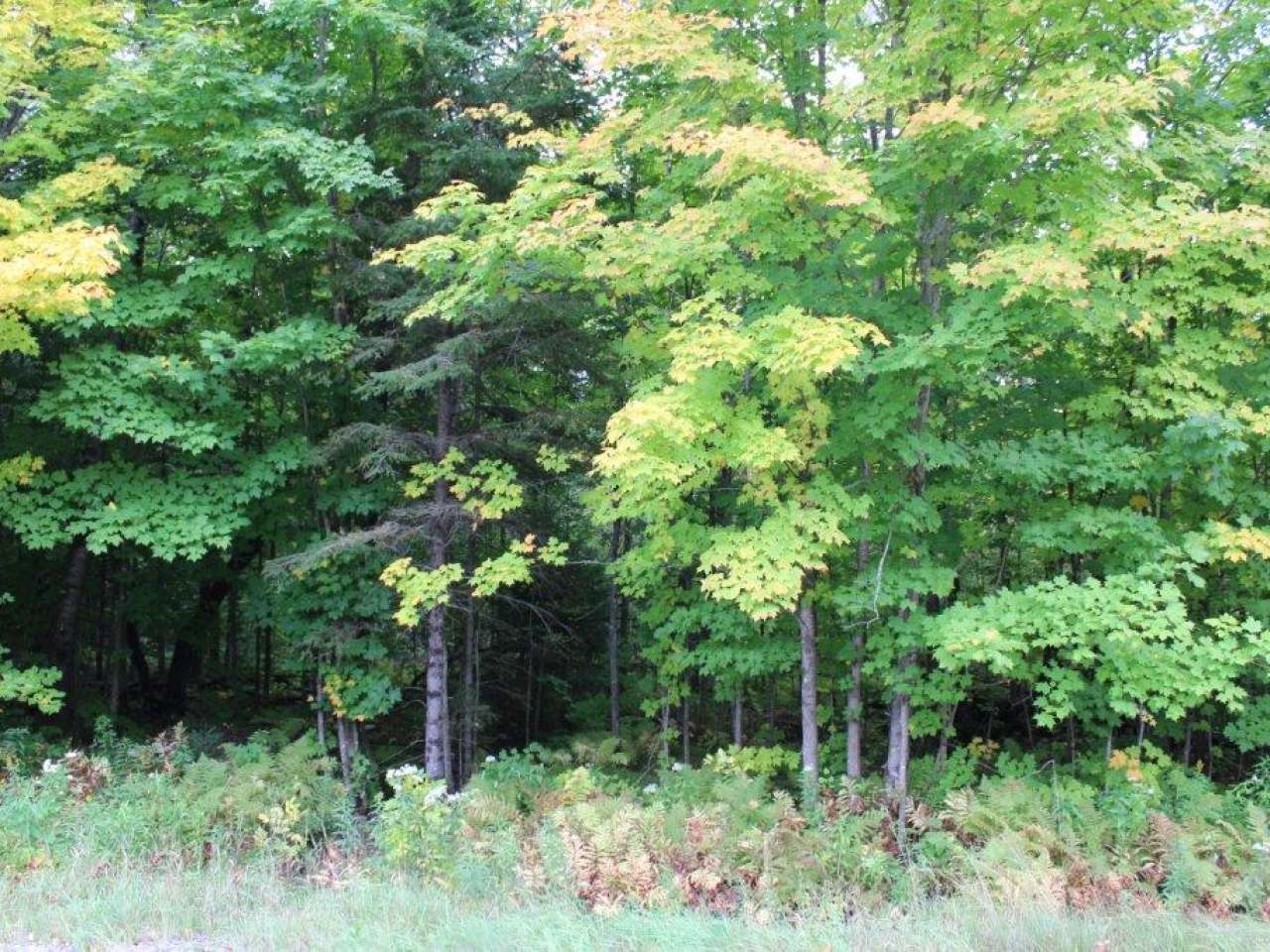 On Strong Road, Unit 39 ACS Phelps, WI 54554 - Photo 8 of 15 Gallery Image 8
