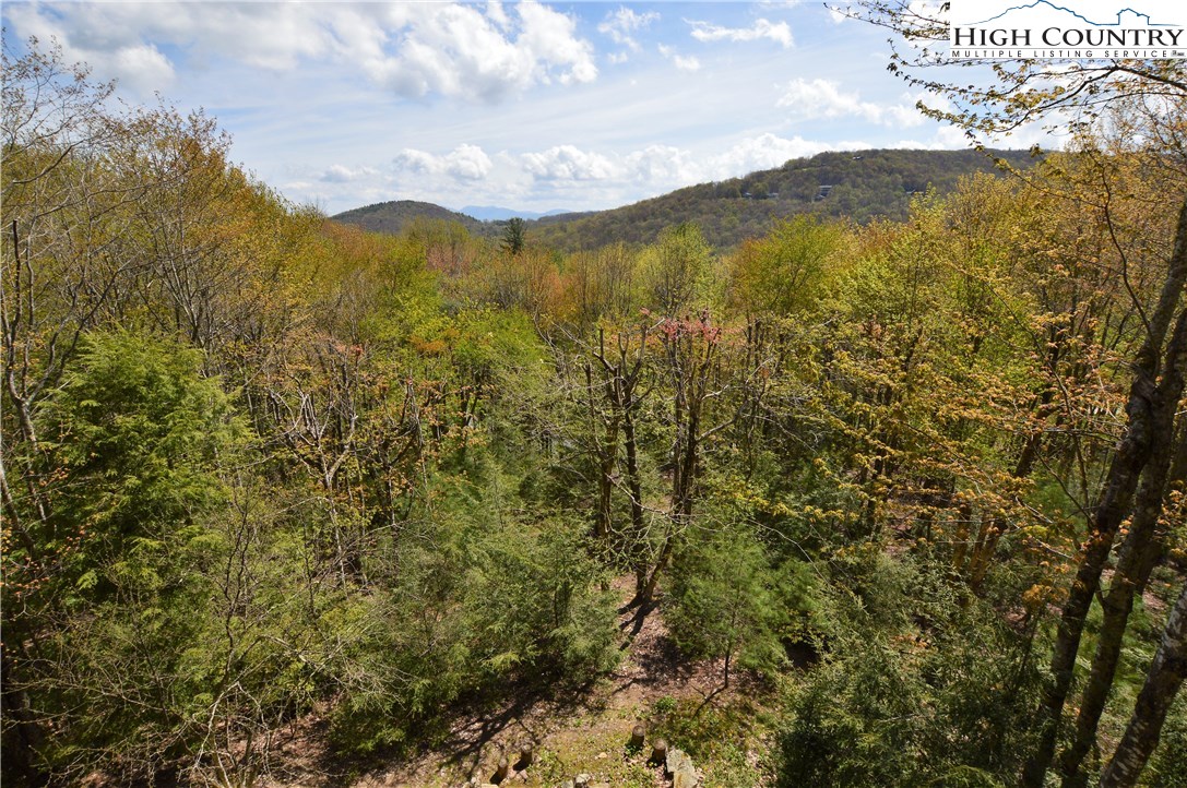 238 Lakeledge Road Beech Mountain, NC 28604 - Photo 4 of 43 Gallery Image 4