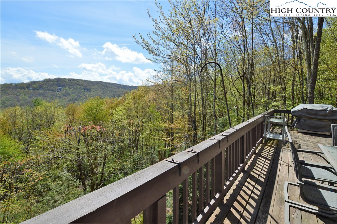 238 Lakeledge Road Beech Mountain, NC 28604 - Photo 8 of 43 Gallery Image 8