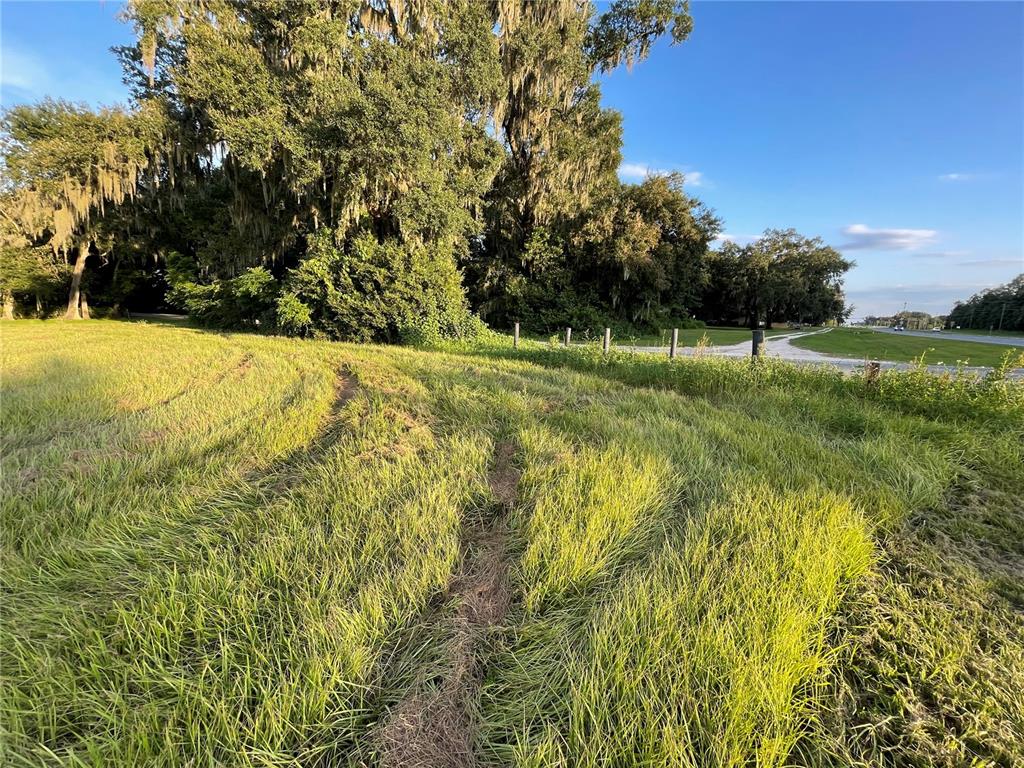 0 Us Highway Oxford, FL 34484 - Photo 20 of 26