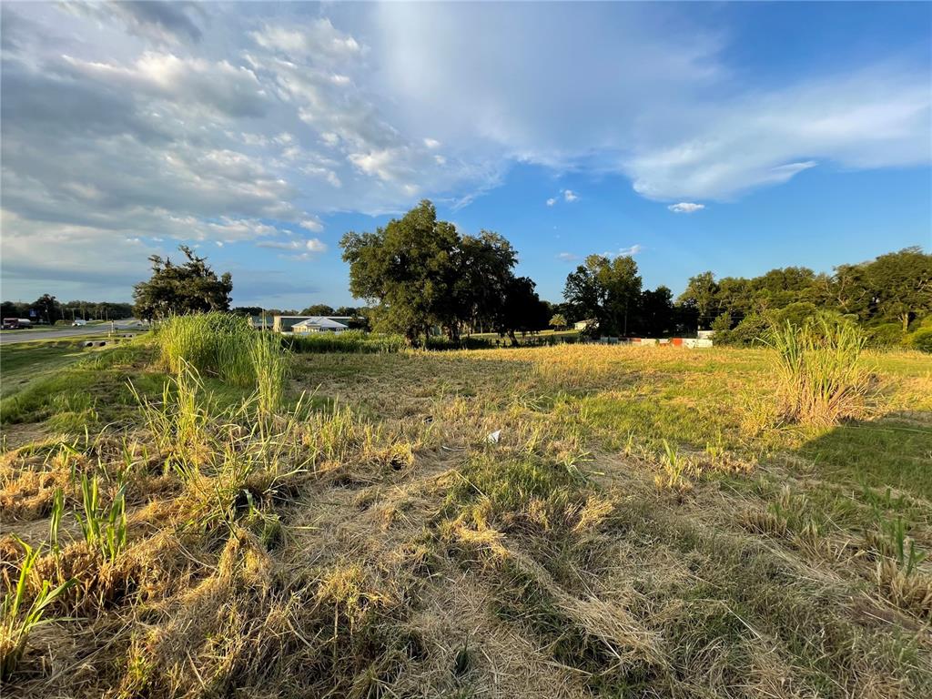 0 Us Highway Oxford, FL 34484 - Photo 21 of 26