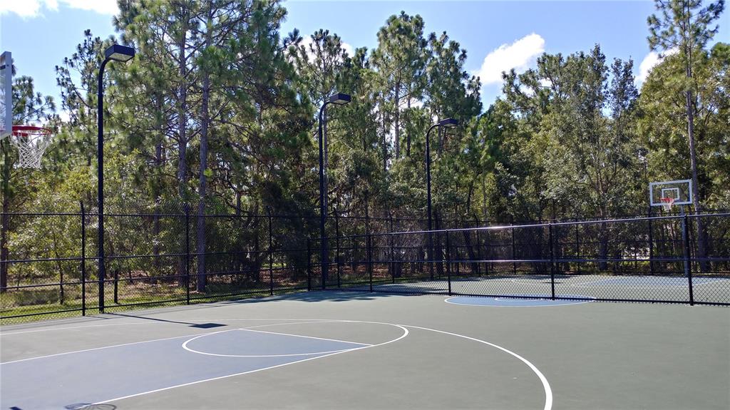 3936 Bramblewood Loop Spring Hill, FL 34609 - Photo 24 of 30 a view of a tennis court