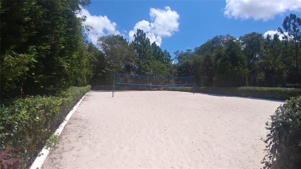 3936 Bramblewood Loop Spring Hill, FL 34609 - Photo 28 of 30 a view of swimming pool with a yard and green space