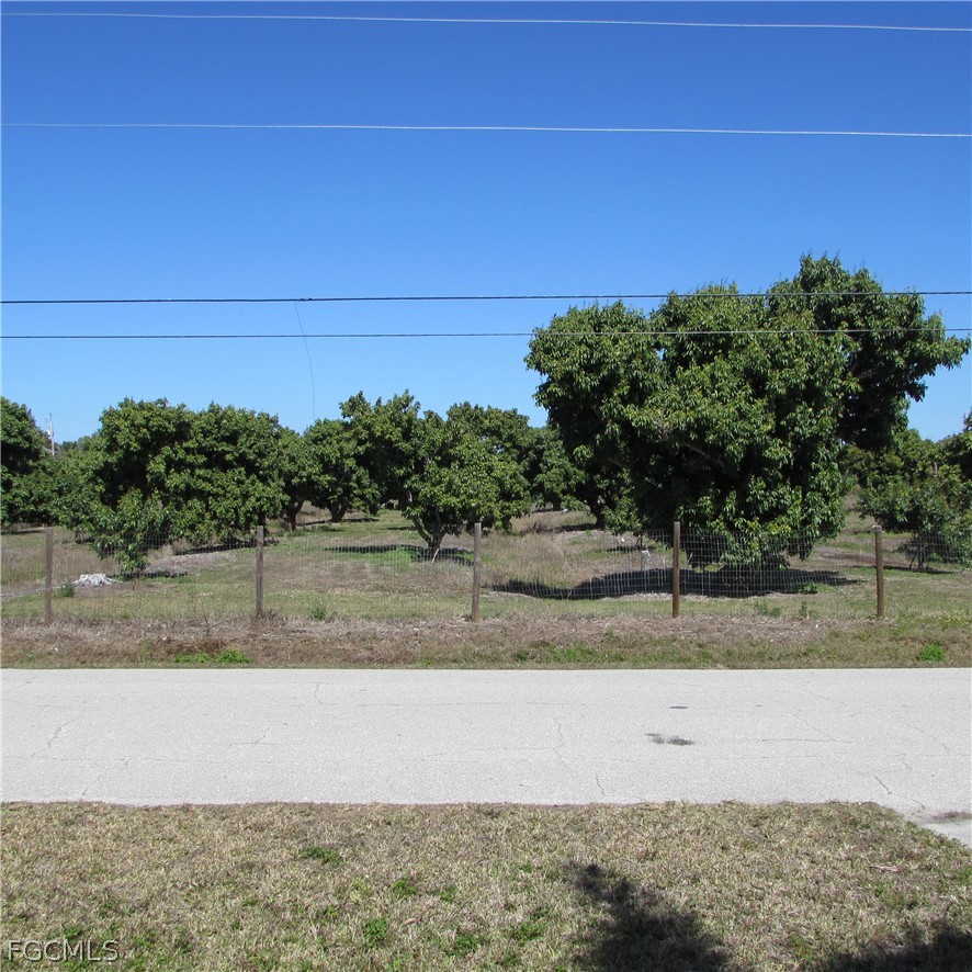 5773 Marina Road Bokeelia, FL 33922 - Photo 5 of 27 a view of a yard