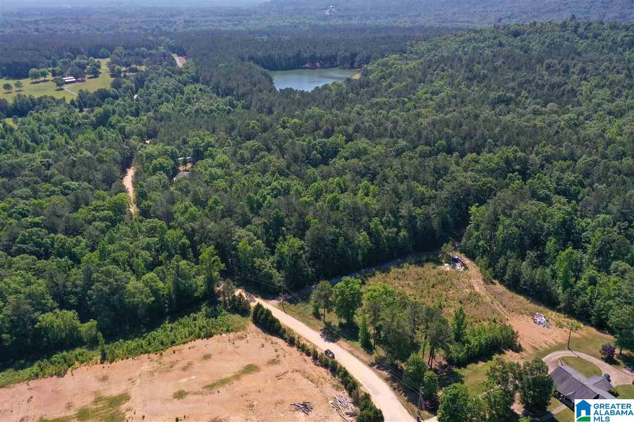948 Old Deer Creek Road Sterrett, AL 35147 - Photo 16 of 19