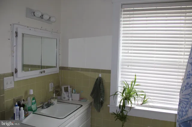 a bathroom with a sink a potted plant and a window