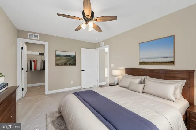 a view of a garden with plants