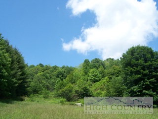 Phillips Branch Road Sugar Grove, NC 28679 - Photo 1 of 1 Gallery Image 1